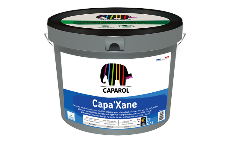 Conseils pour préparer un mur avant de peindre 9 Capaxan Caparol Sagra